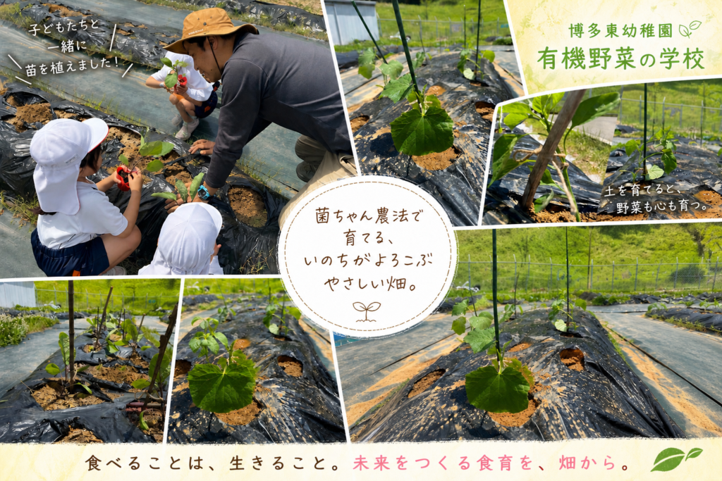 学校菜園で子どもが土や野菜に触れながら、食育・農育を学んでいる事例紹介画像