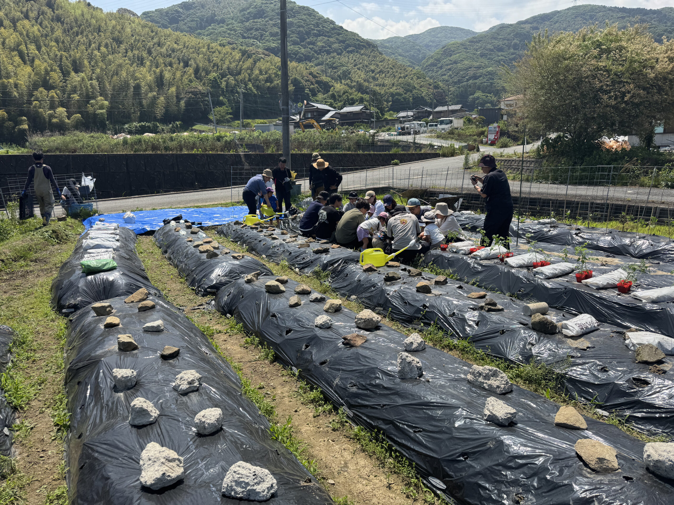 堀越の畑で水やりを学ぶ親子と講師