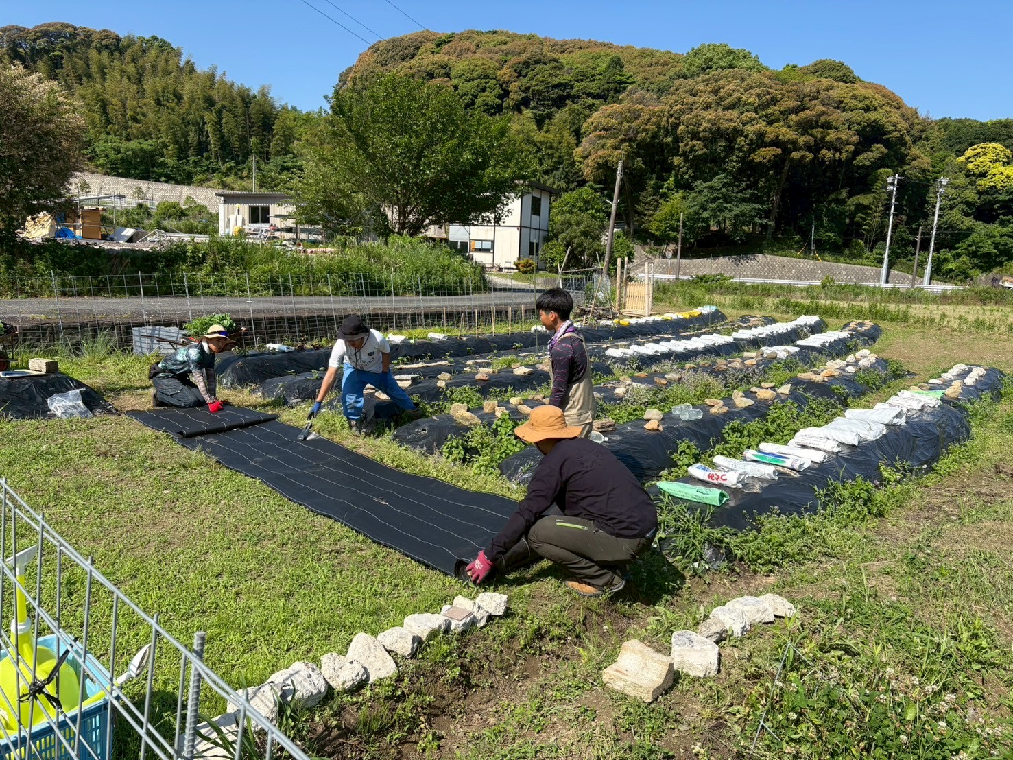 堀越の畑で畝づくりや整備をする様子