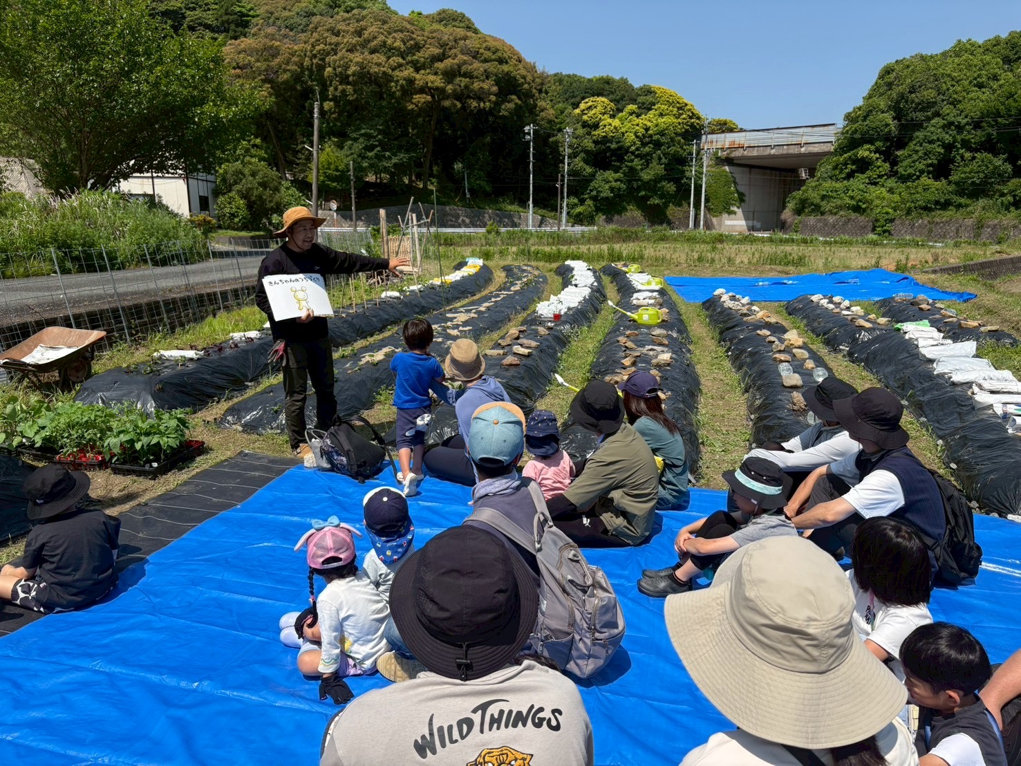 山に囲まれた堀越の畑で親子が野菜苗を植えている様子