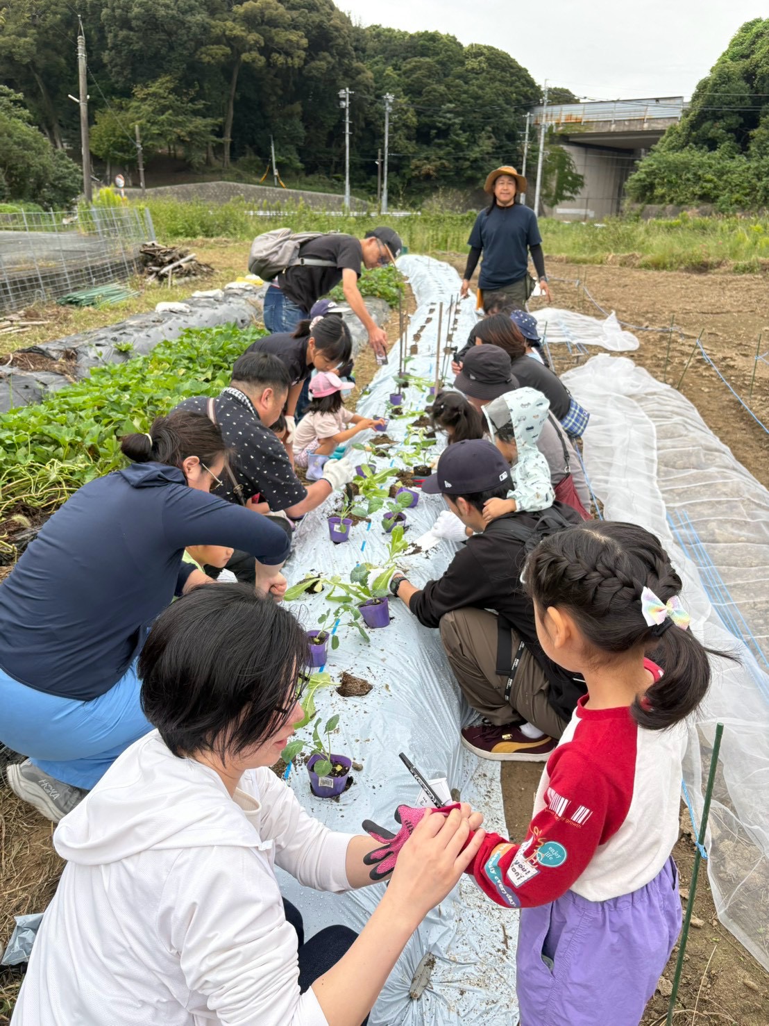 同じ畑で学ぶ時間が、社員と家族の交流を育む。